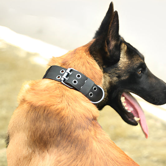 Collier pour chien GomDog noir