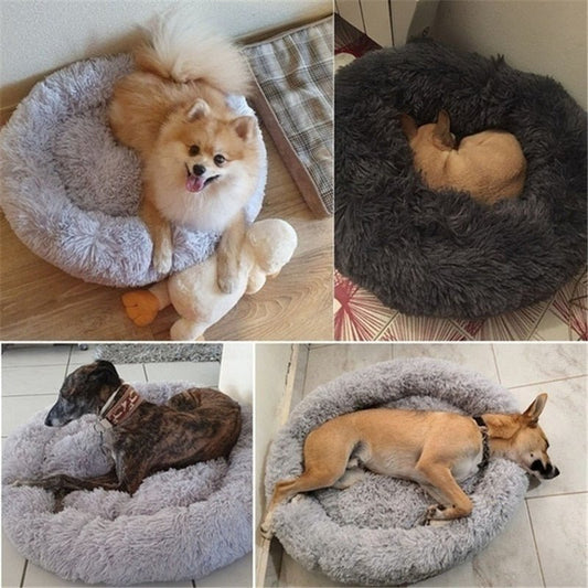 DoggyPouf™- Coussin doux pour chien - Univers de chien