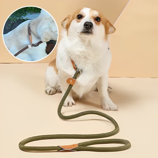 laisse pour Chien | ColeLaisse™ - Balkyshop