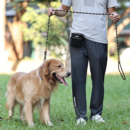 chien-métrisé-avec-la-laisse-pour-chien-CordeLaisse