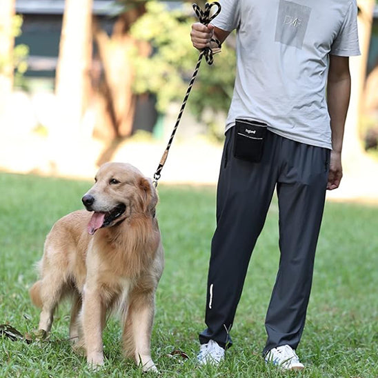 chien-relaxe-avec-sa-laisse-pour-chien-CordeLaisse