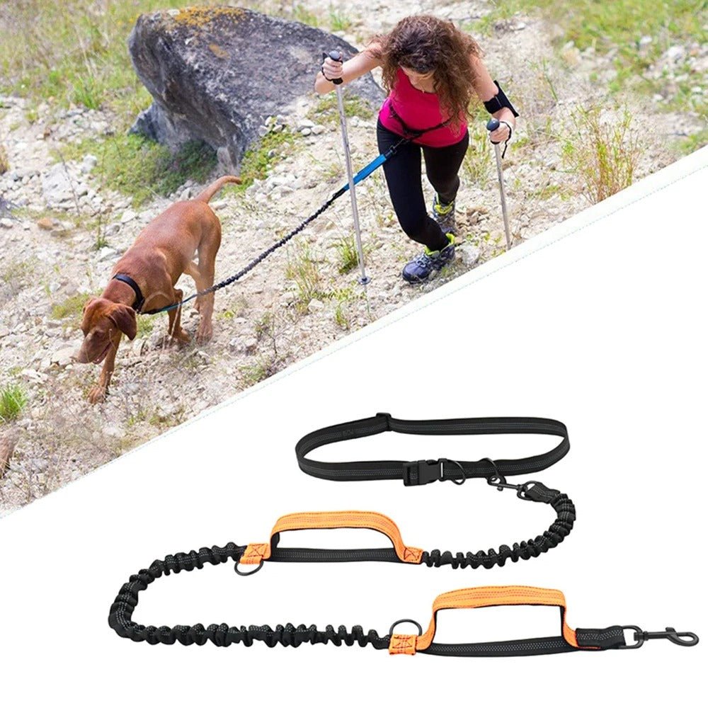 Laisse chien mains libres - Balkyshop