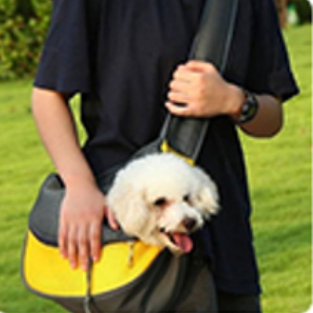 Le Sac de Transport Chien | DorsiBag™ - Balkyshop