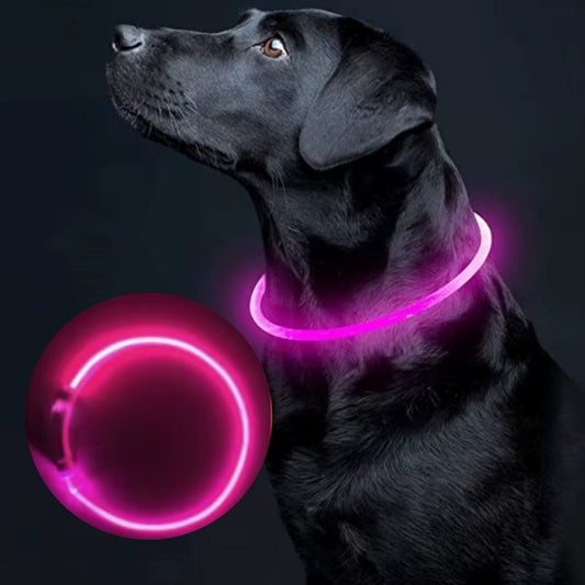 collier chien lumineux Lumax rose