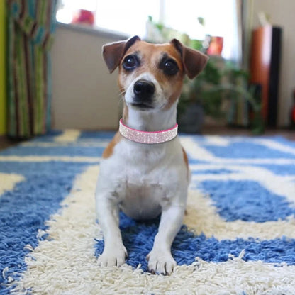 collier chien Rose SCME bien etre securite