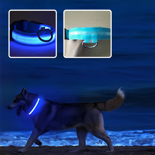 collier lumineux pour chien ClaireMax Bleu