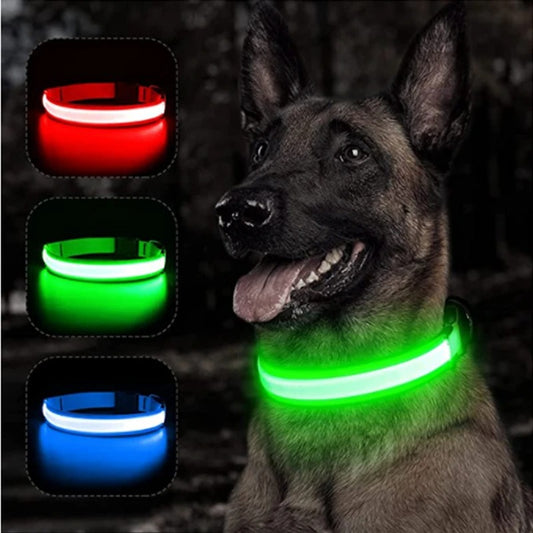 collier lumineux pour chien NocturCollier differentes couleurs