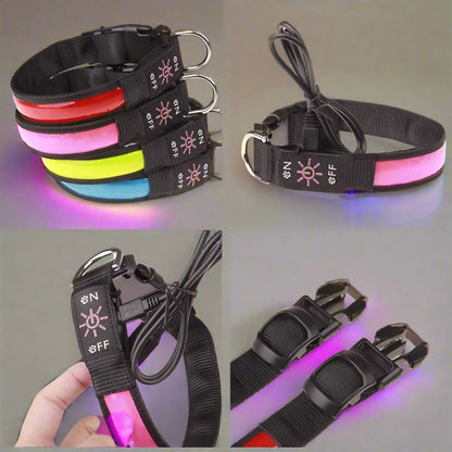 collier-lumineux-pour-chien-VuziCollier-promenade-nocturne-sans-stresse-avec-votre-chien