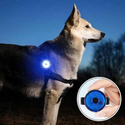 colliers-lumineux-pour-chiens-FluoriCollier-promenade-nocturne-couleur-bleu