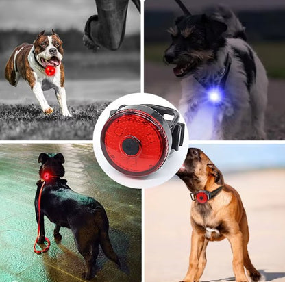 colliers-lumineux-pour-chiens-FluoriCollier-sortie-nocturne-agreable-chien-securite