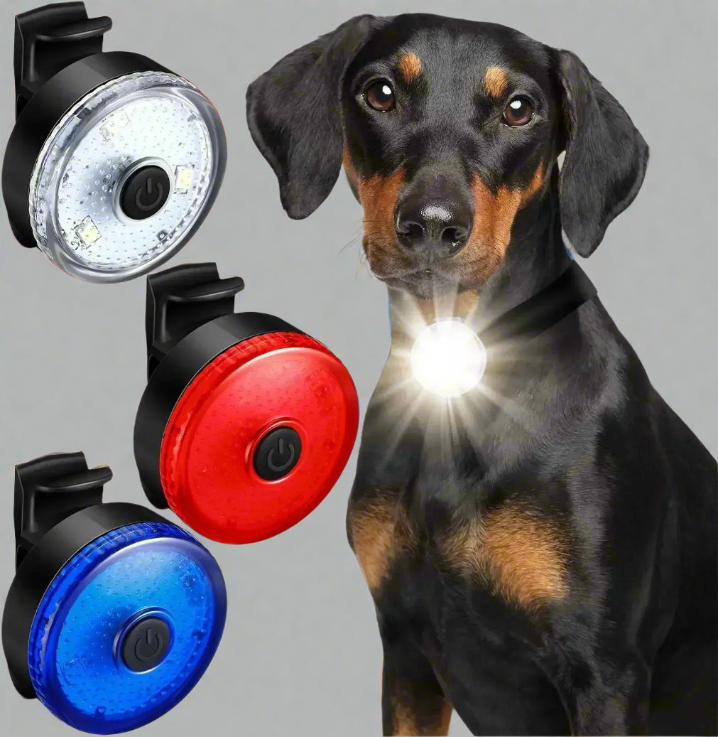 colliers-lumineux-pour-chiens-FluoriCollier-couleur-blanche