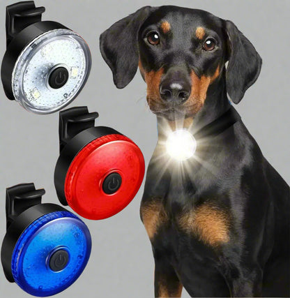colliers-lumineux-pour-chiens-FluoriCollier-couleur-blanche