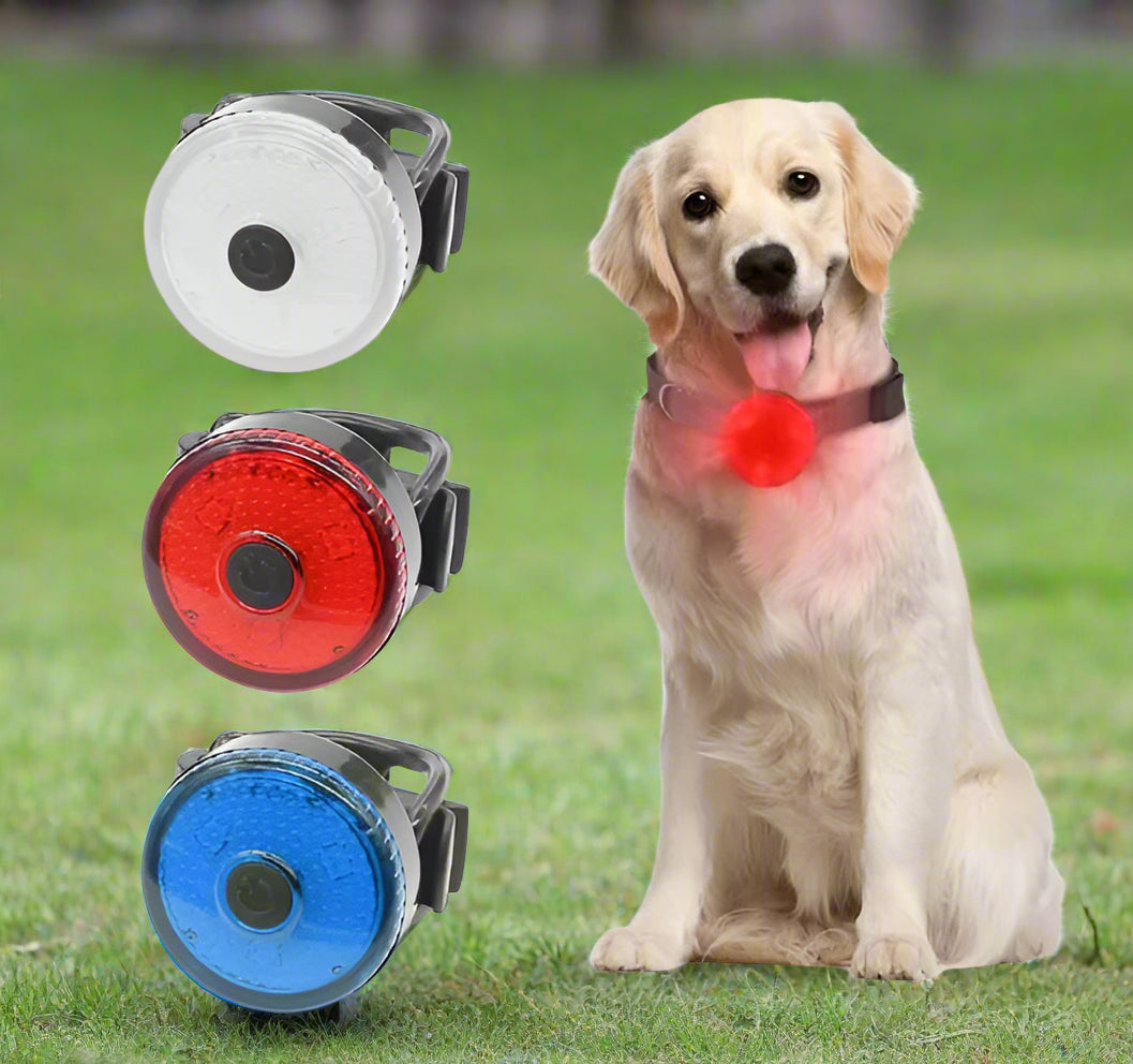 colliers-lumineux-pour-chiens-FluoriCollier-securite-chien-couleur-rouge