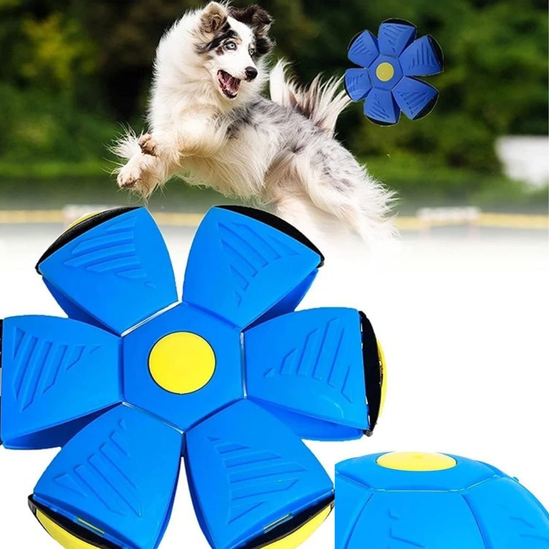 Lanceur de balle pour chien | Freesky ™ - Univers de chien