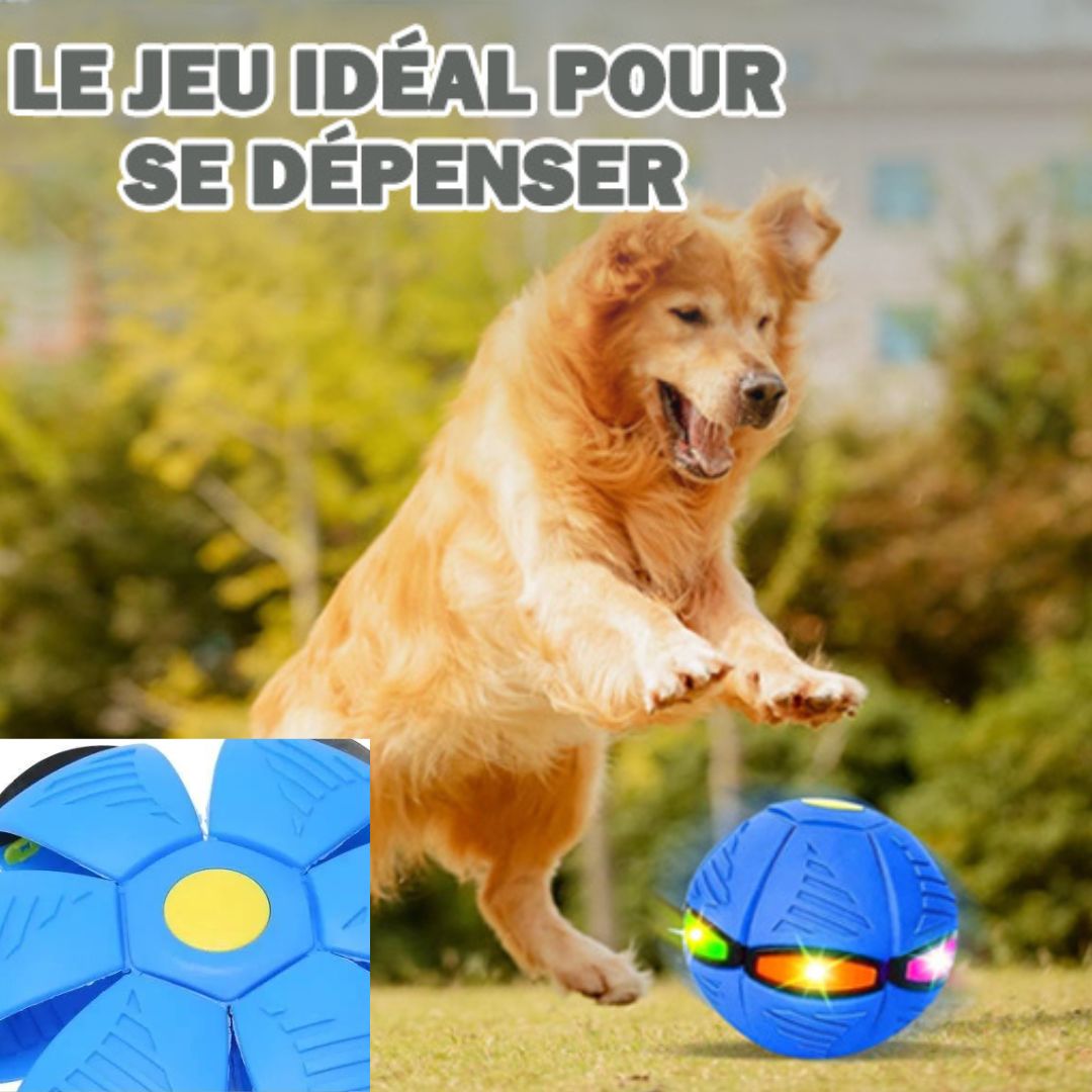 Lanceur de balle pour chien | Freesky ™ - Univers de chien