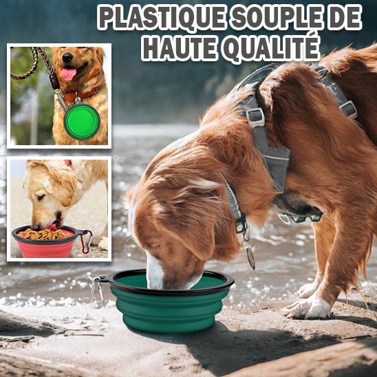 Bol pliant | Flexi plat™ tout - en - un - Univers de chien